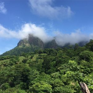 Meet your Posher, Elias